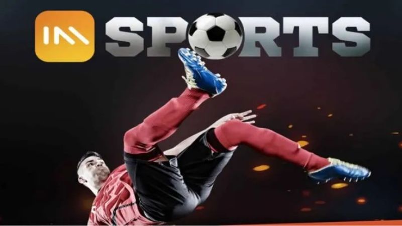 Thị trường IM Sports - Tổng quan và Xu hướng Phát triển