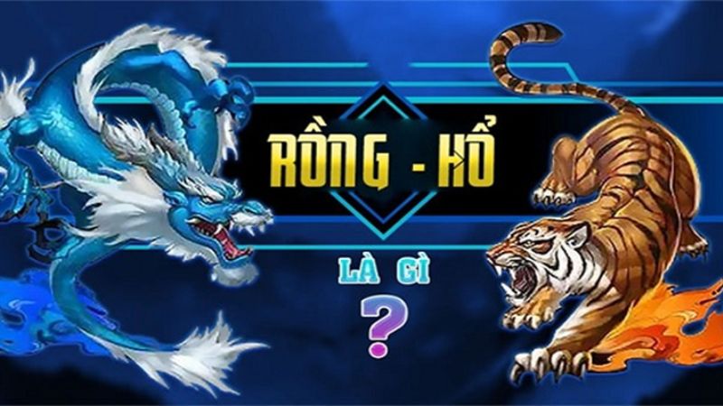 Tổng quan về trò chơi Rồng Hổ